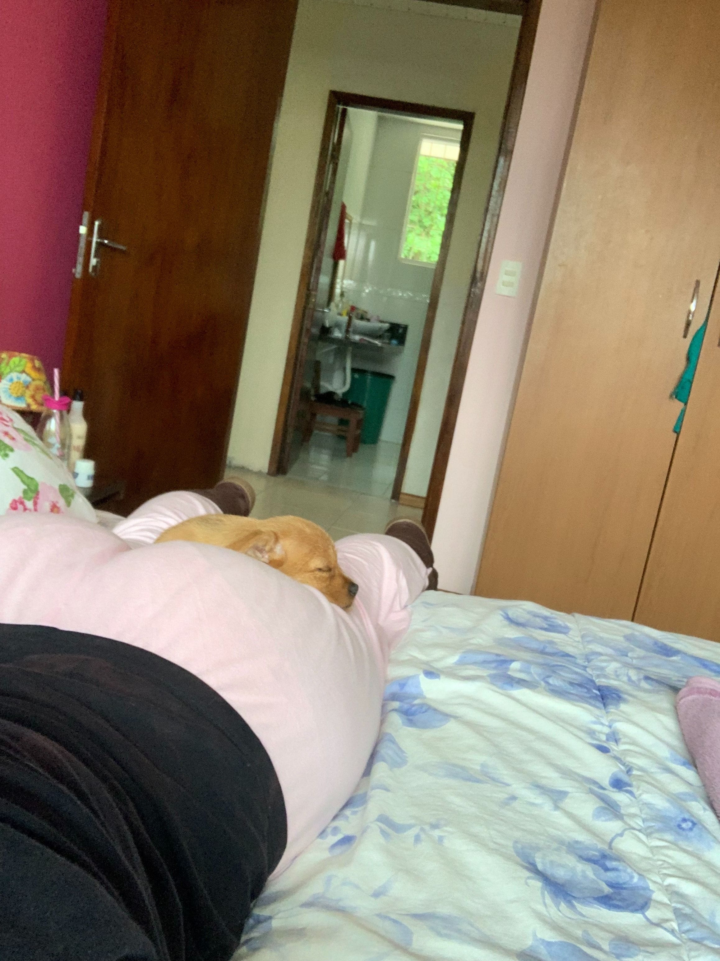 image-7