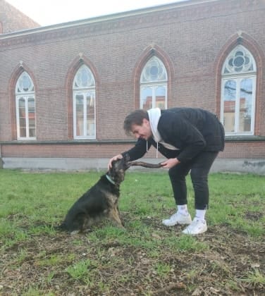 image-7
