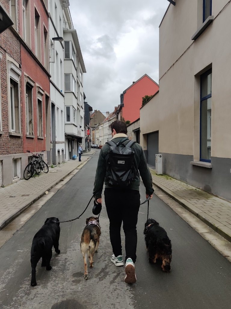image-18