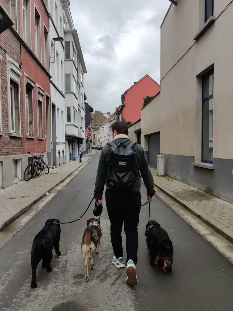 image-18