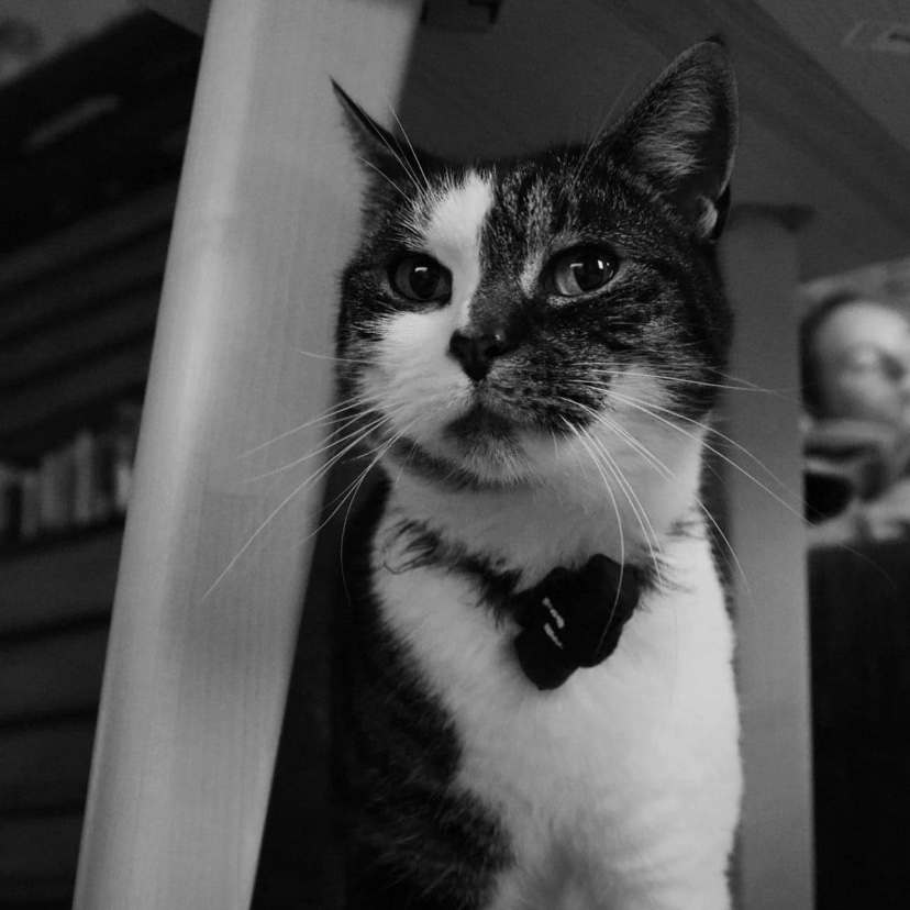 Poetie