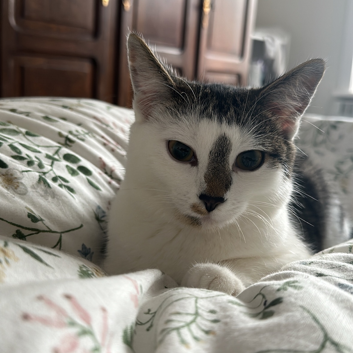 Lucy
