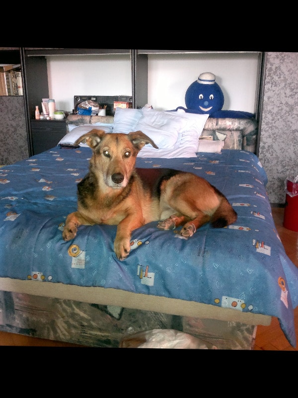 image-49