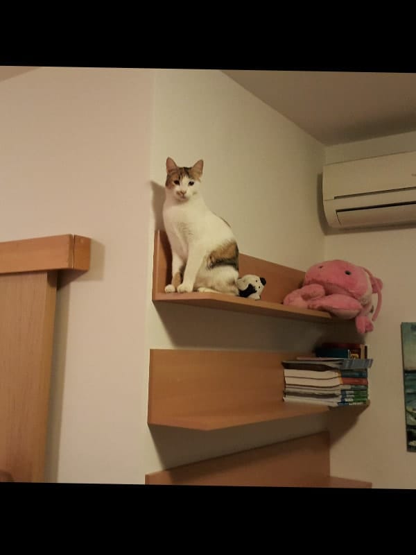 image-9