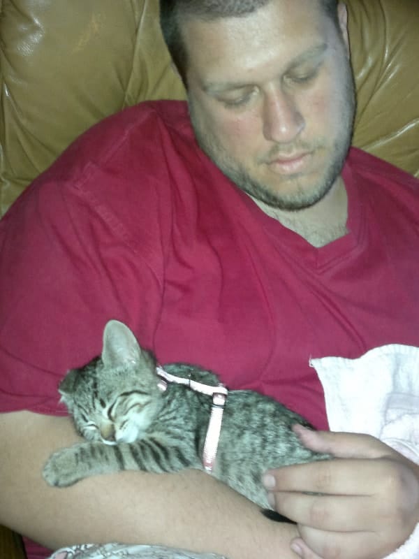 image-46