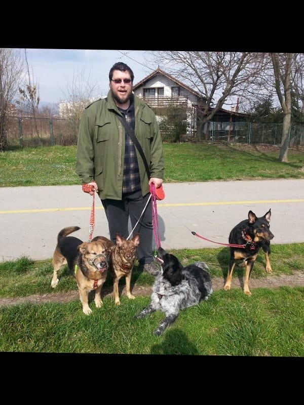 image-2