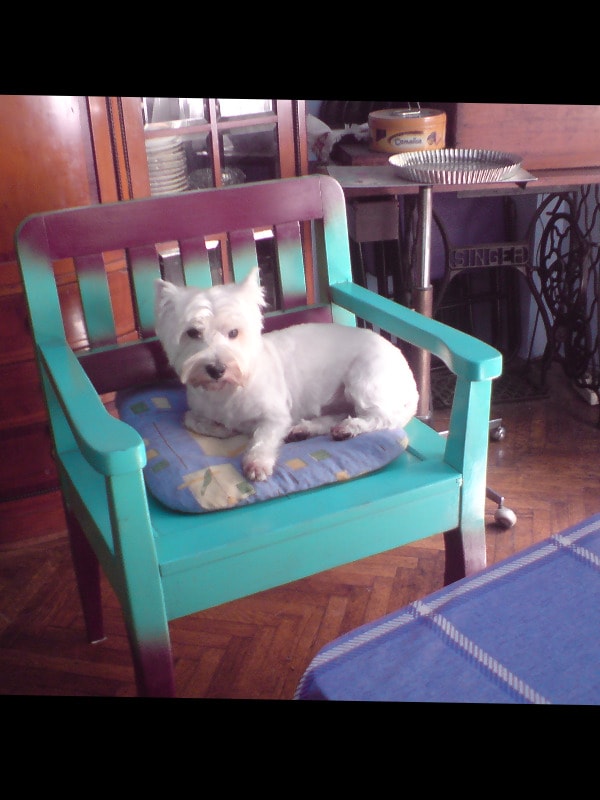 image-52