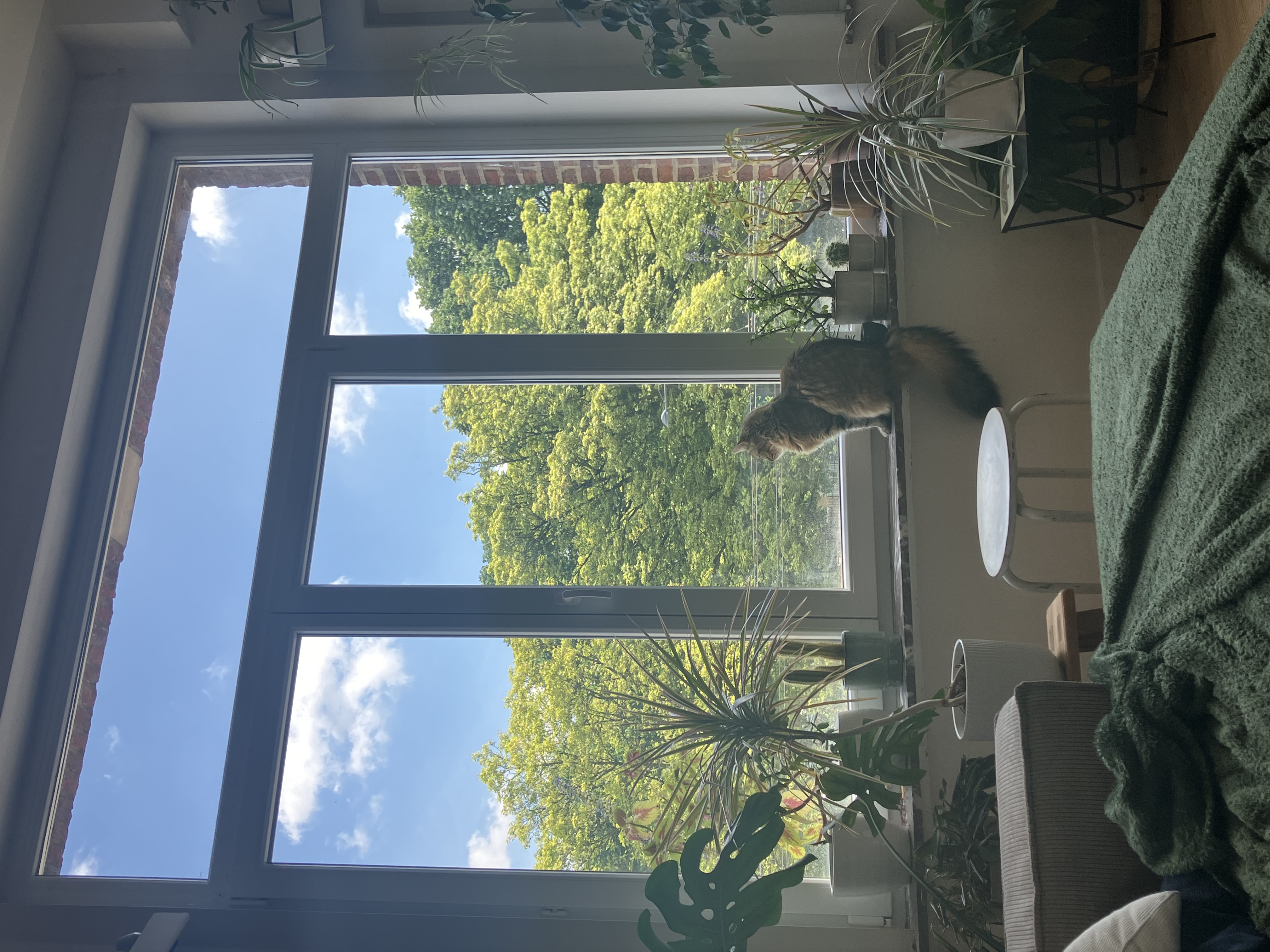 image-18