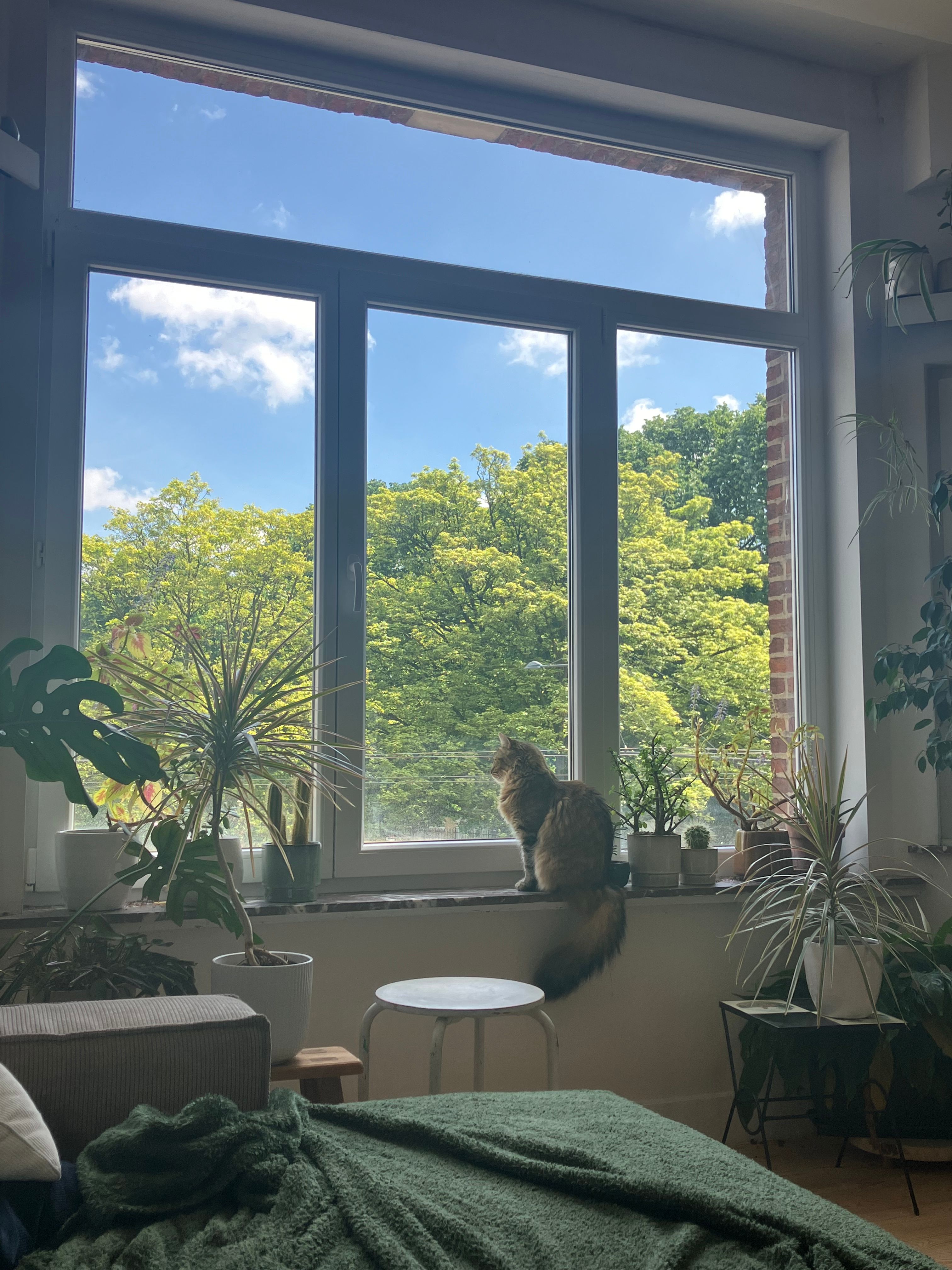 image-18