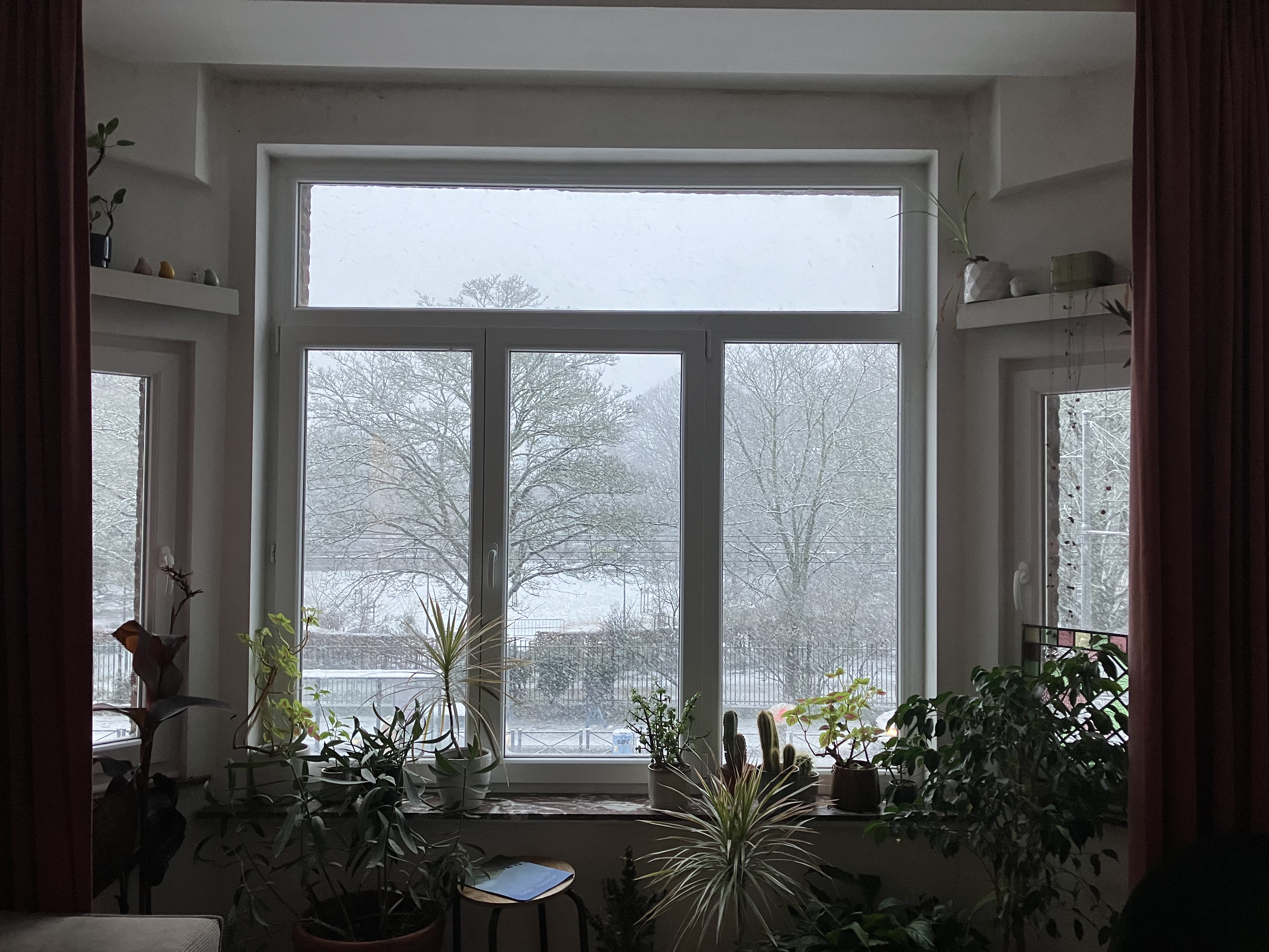 image-19