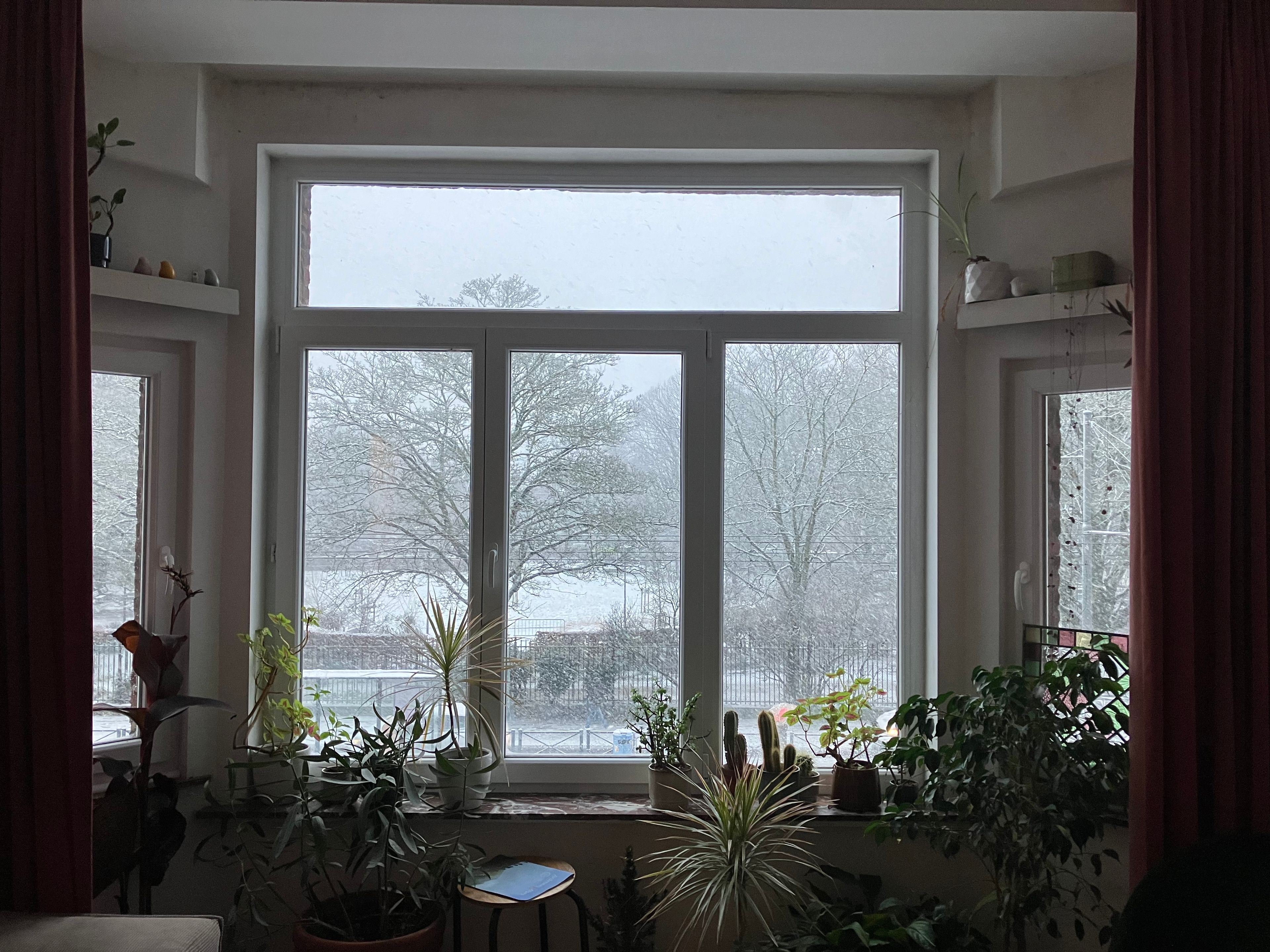 image-19