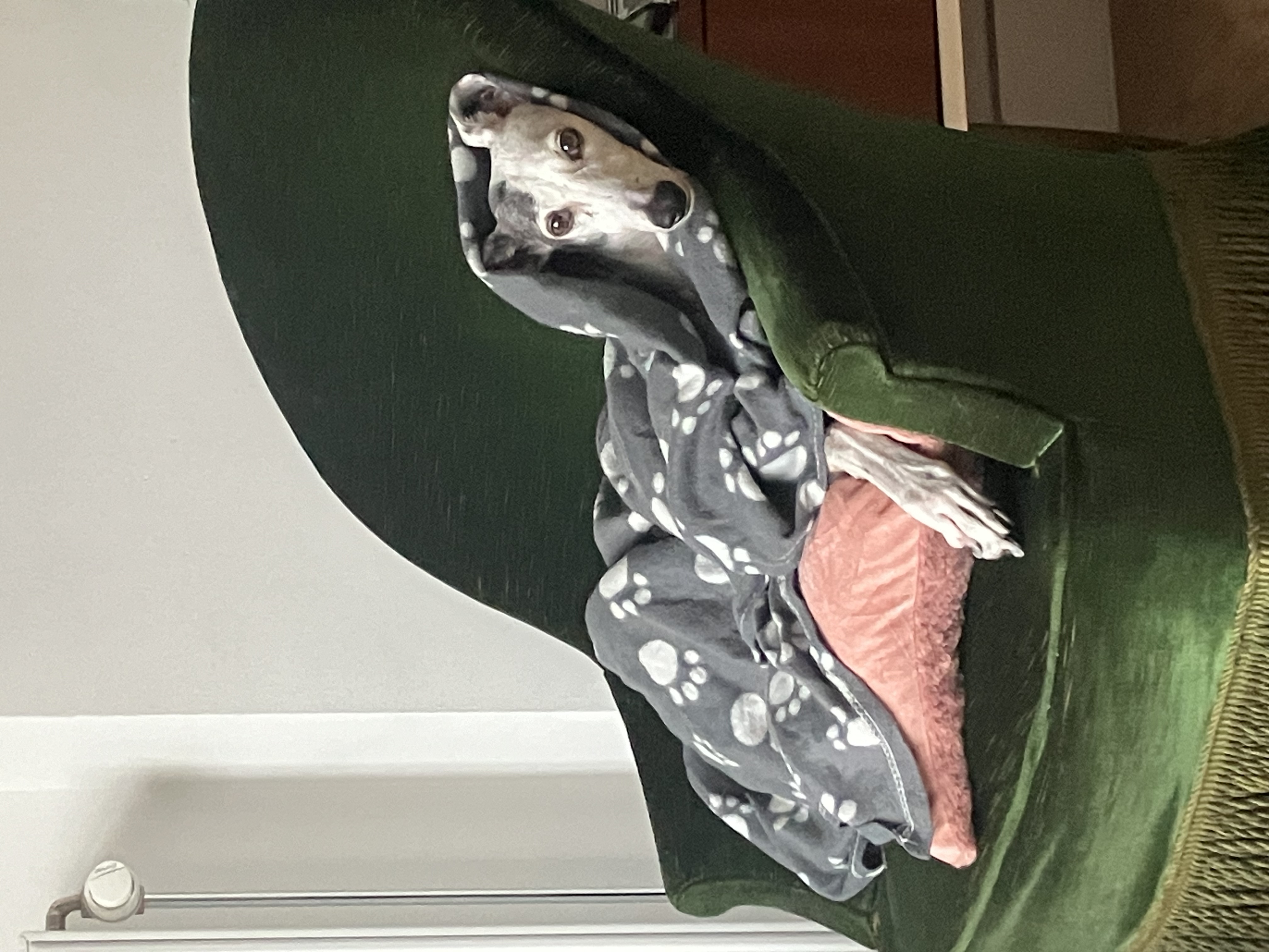 image-8