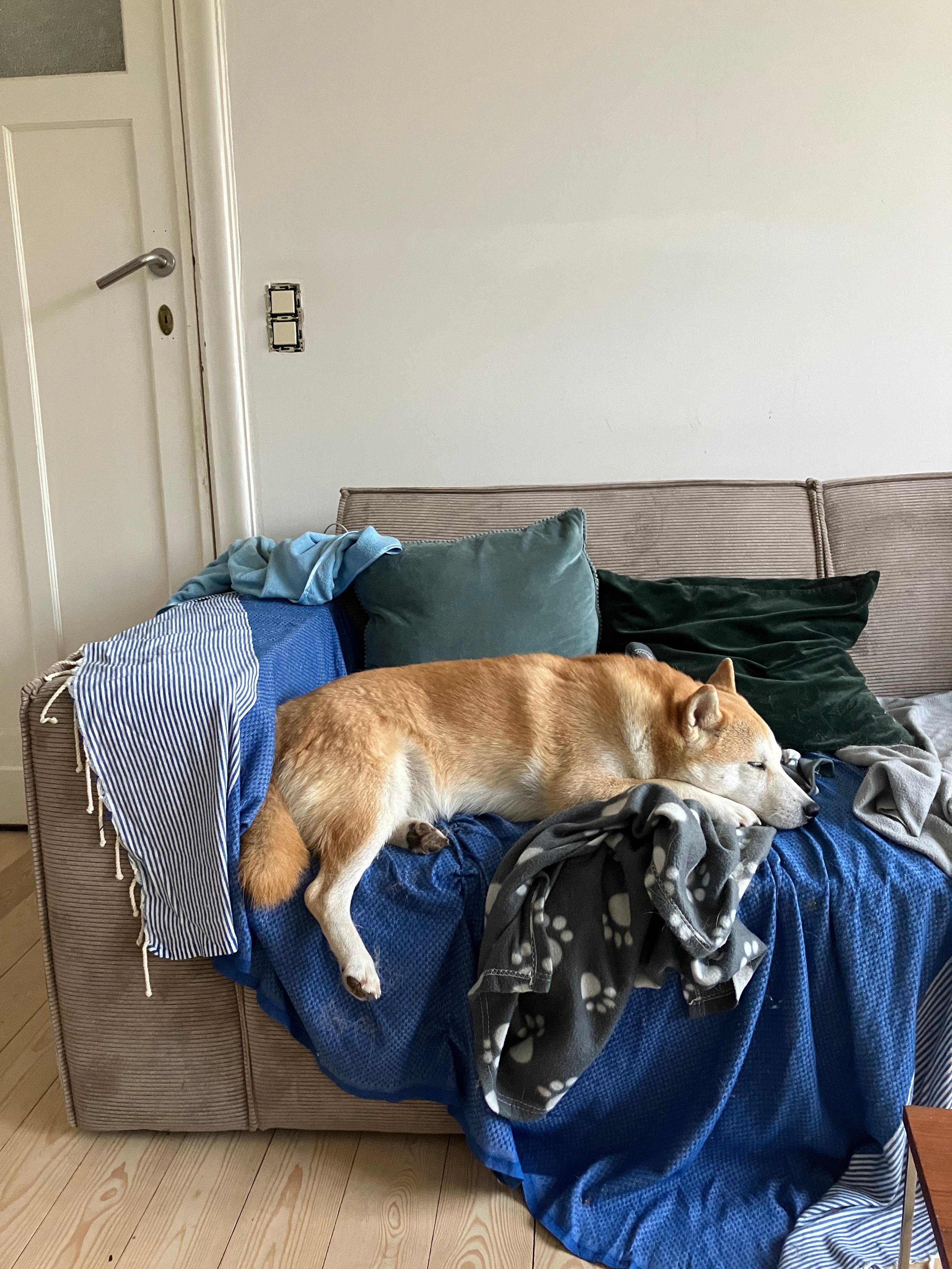 image-12