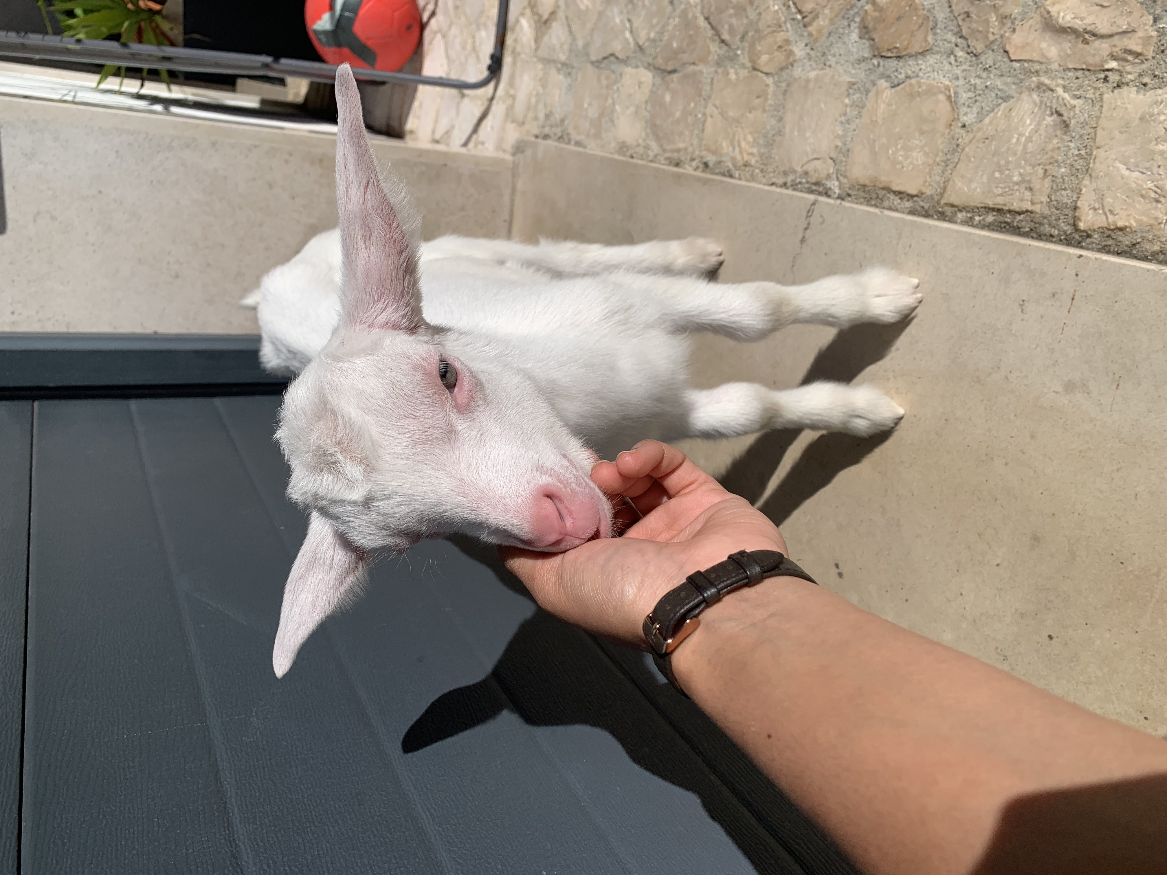 image-6