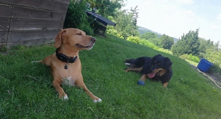 image-26