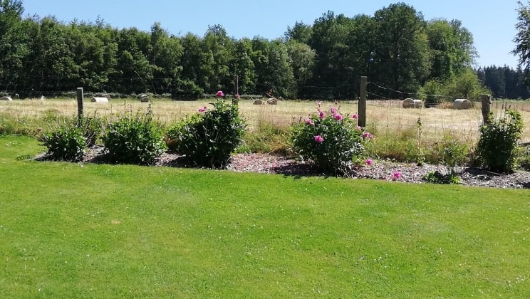 image-24