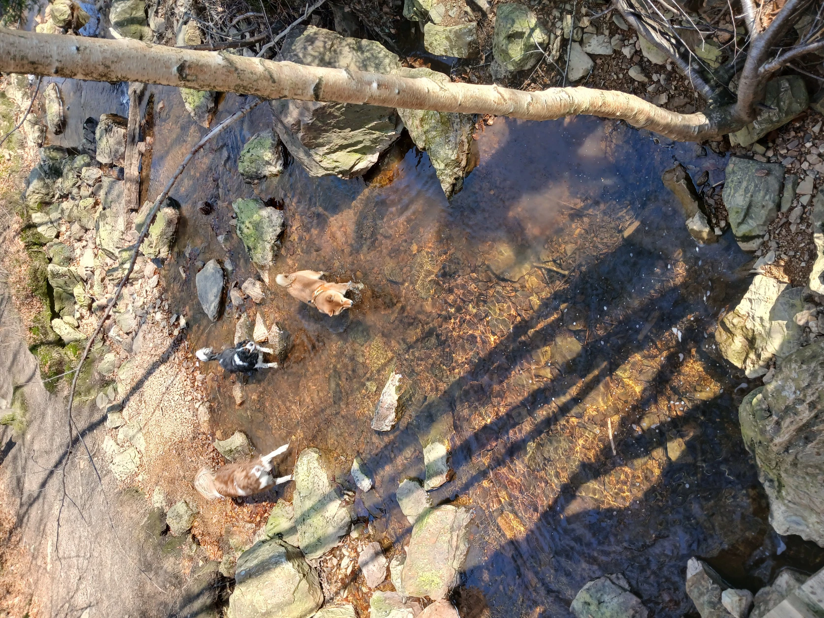 image-12