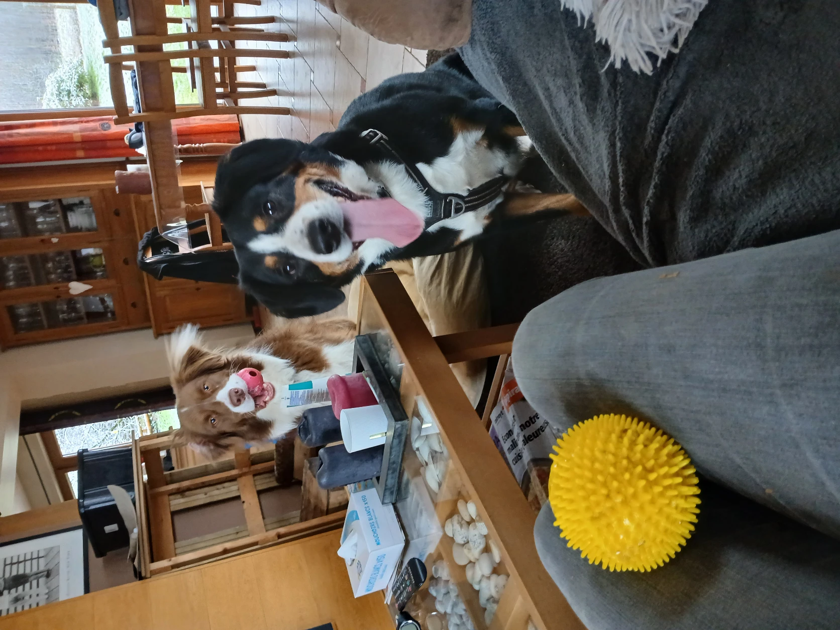 image-20