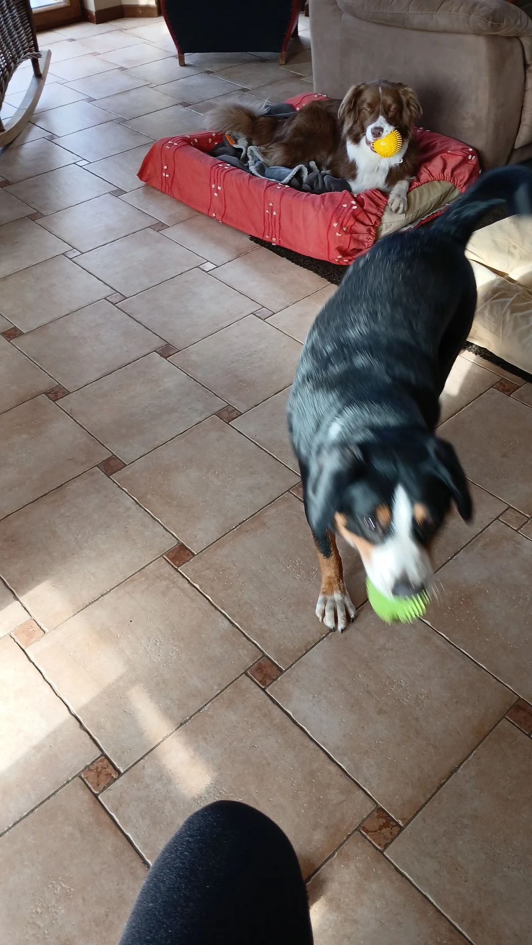 image-18