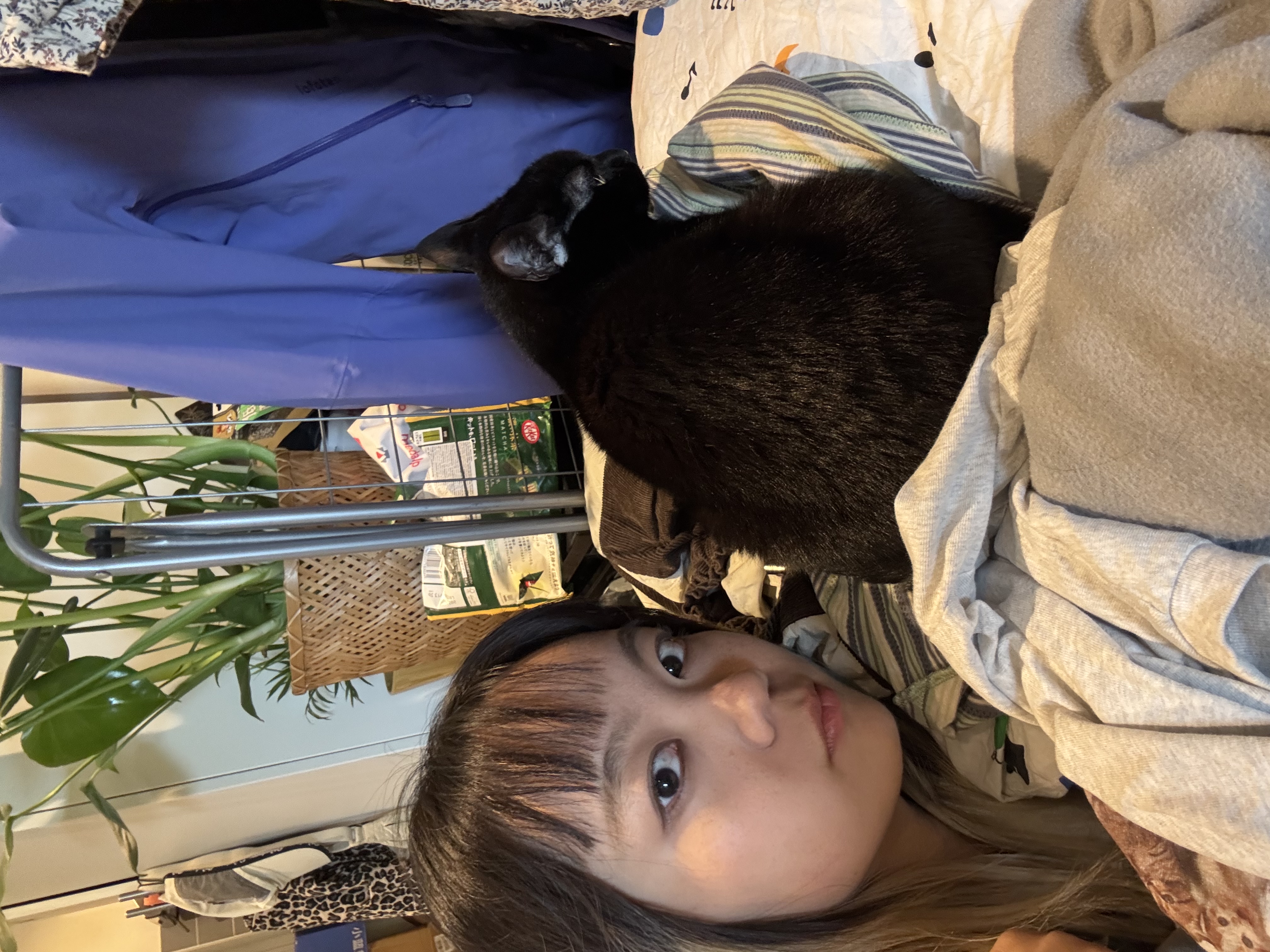 image-14