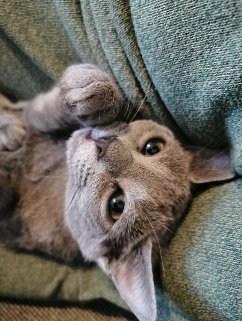 image-11
