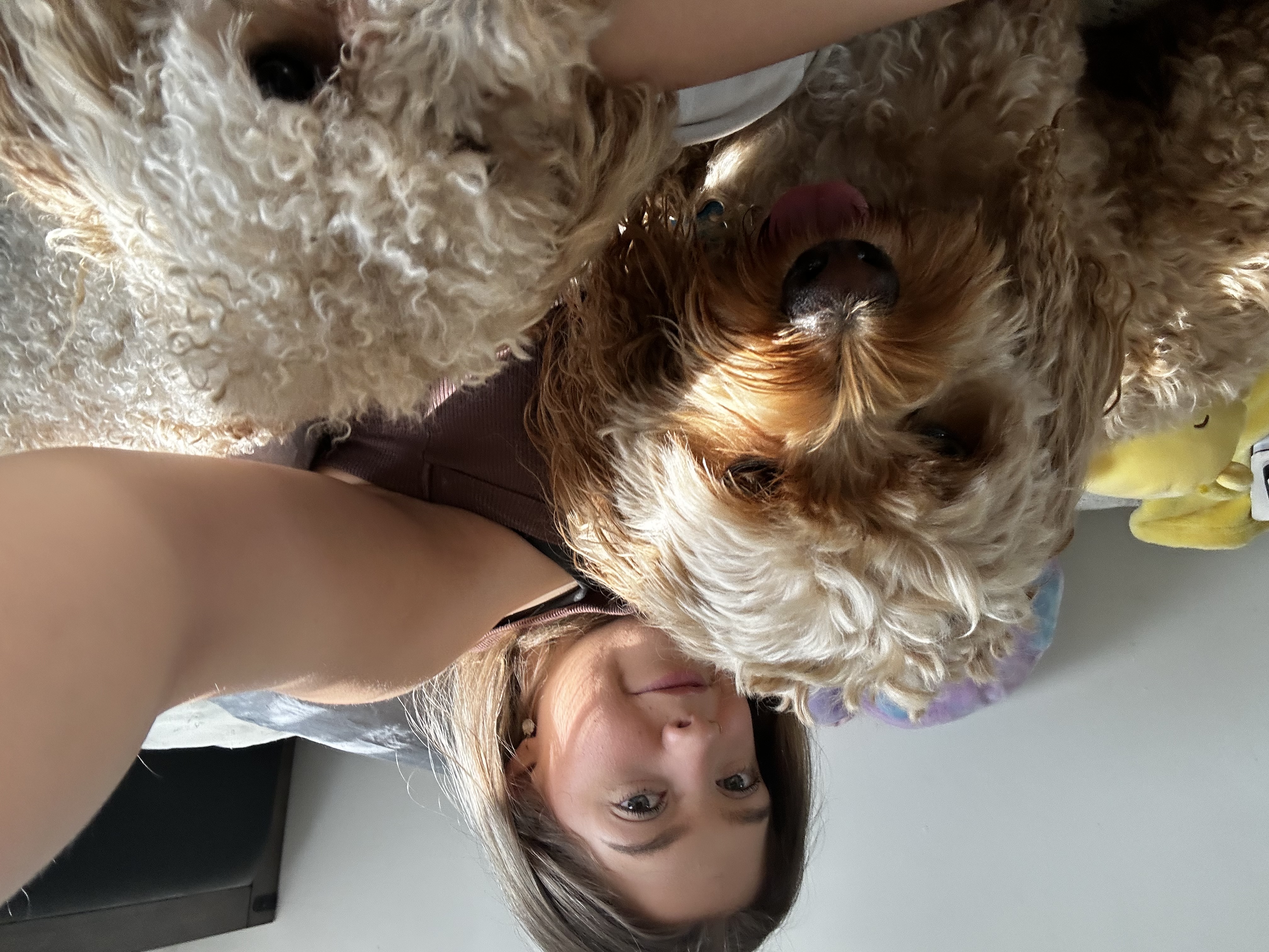 image-8