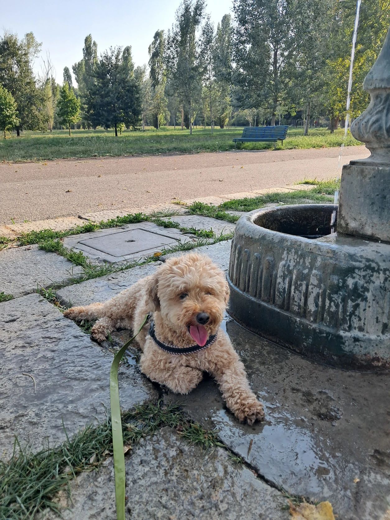 image-12