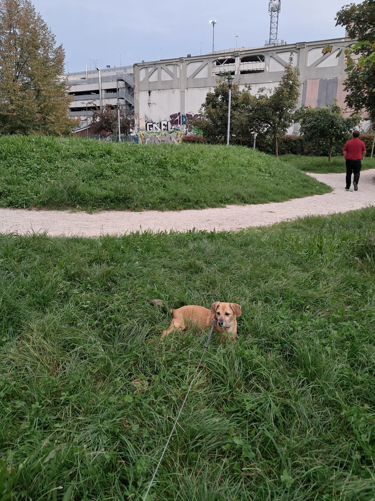 image-9