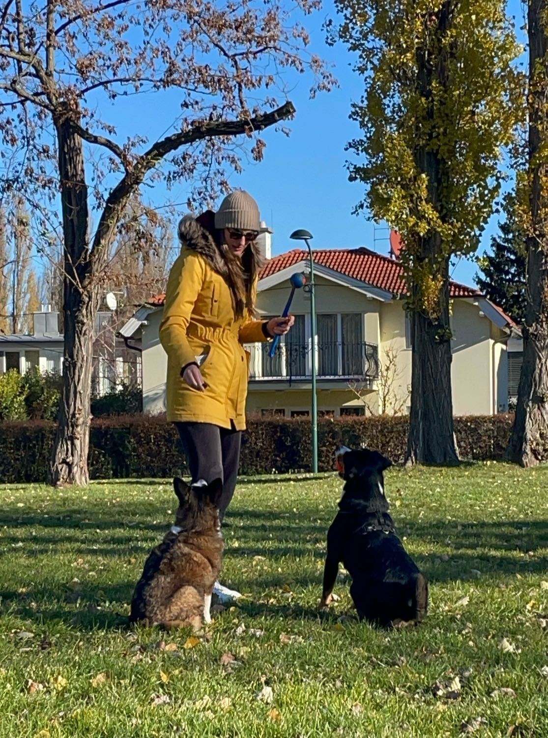 image-3