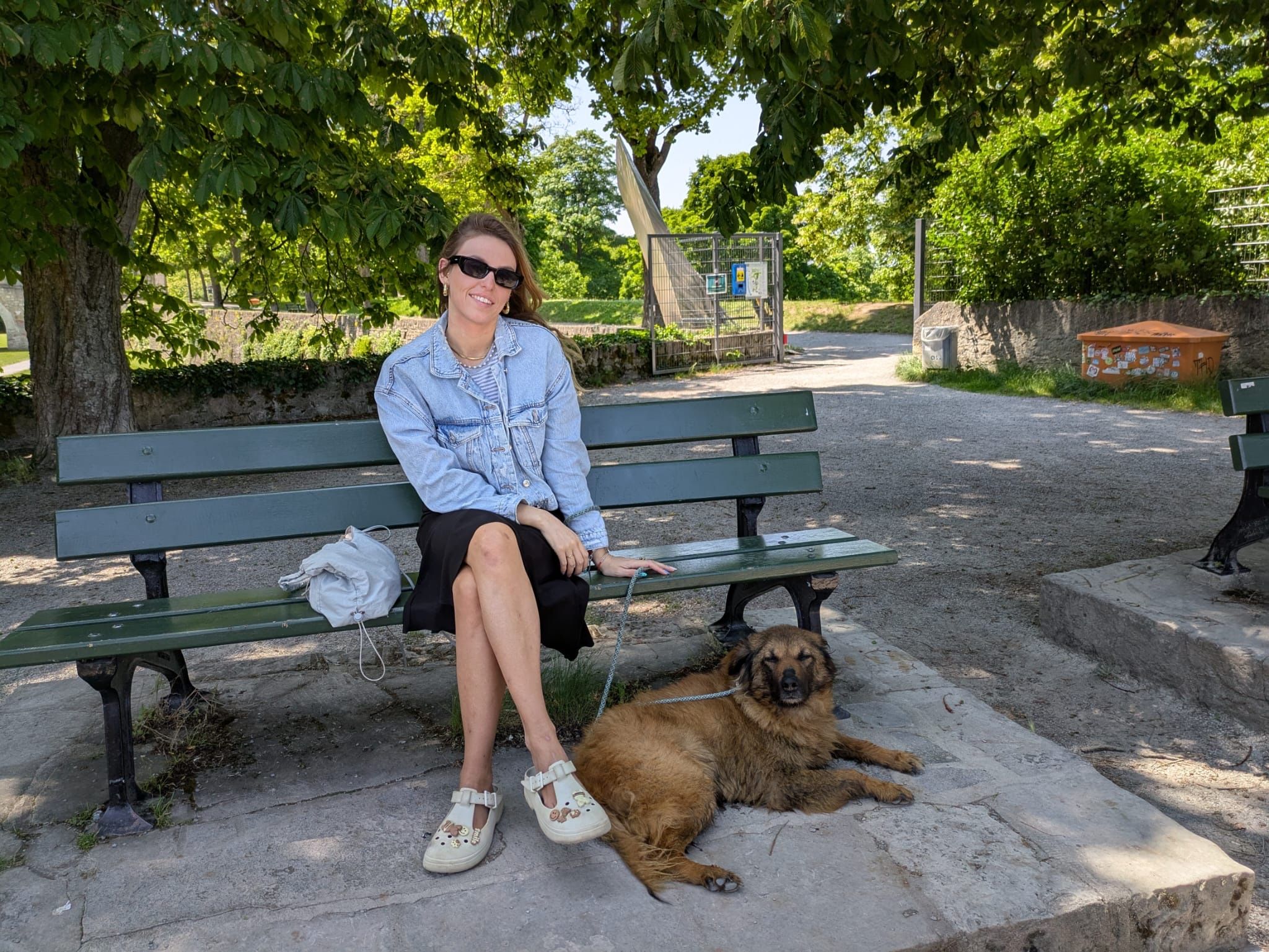 image-6