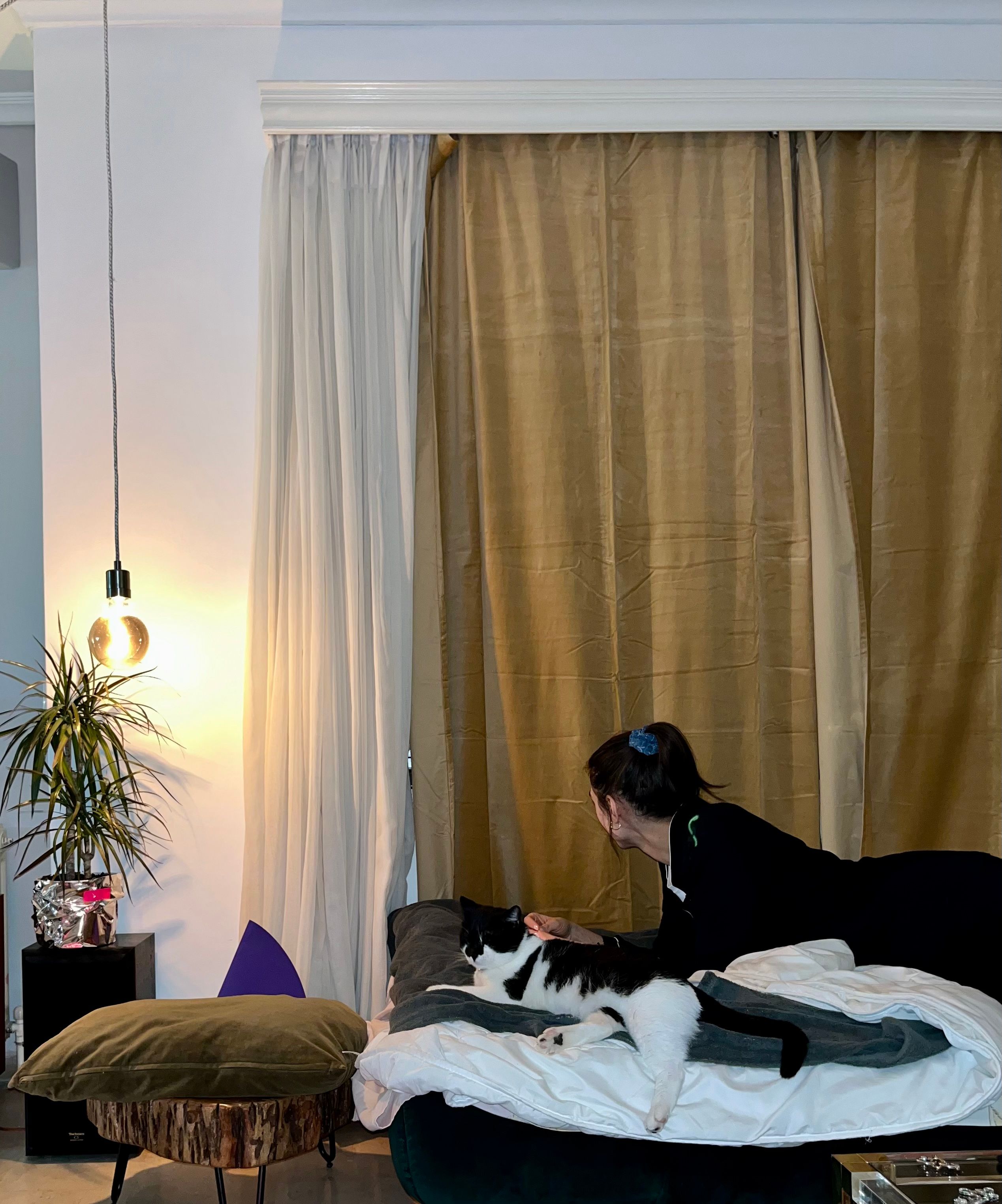 image-7