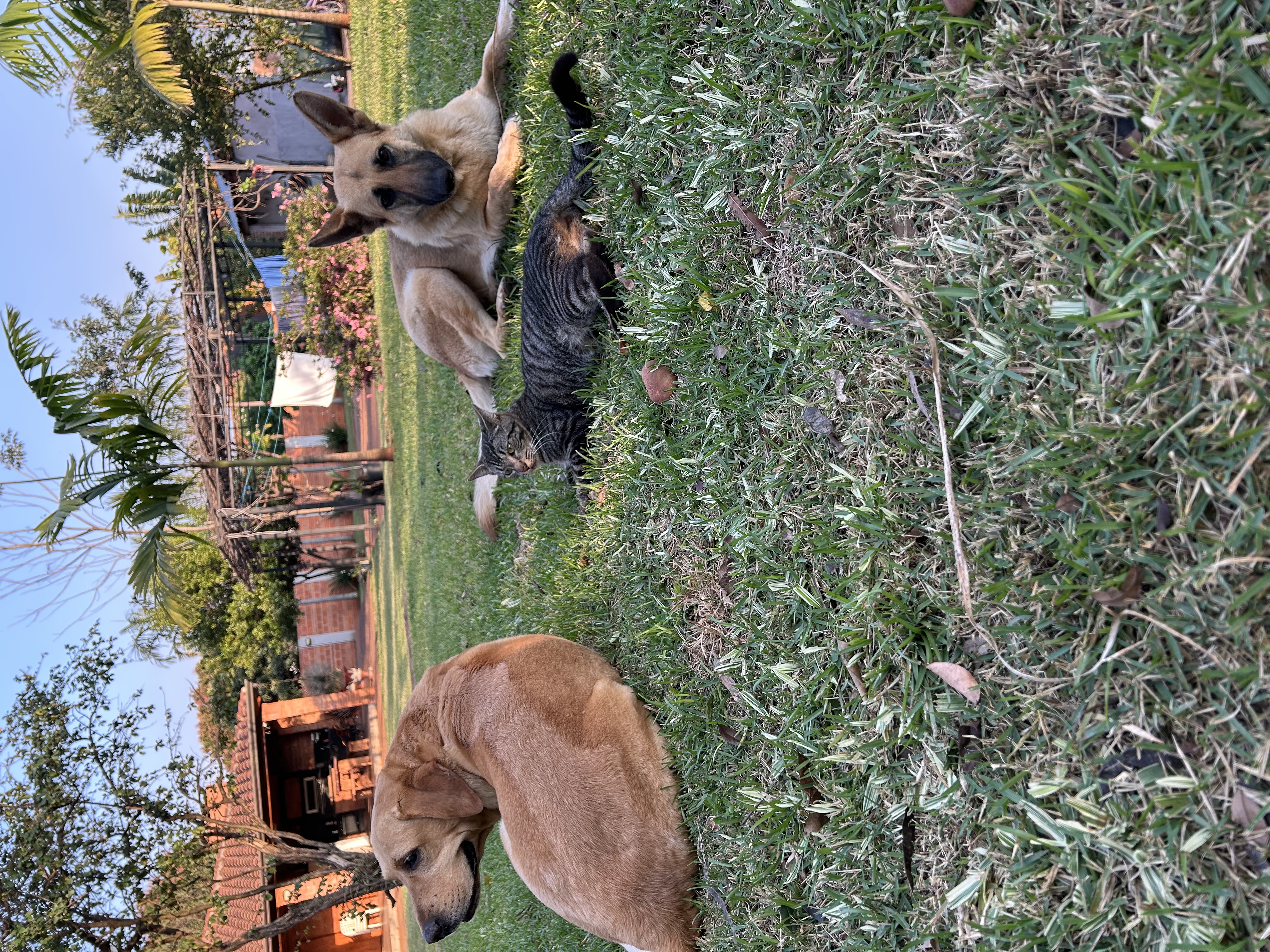 image-5