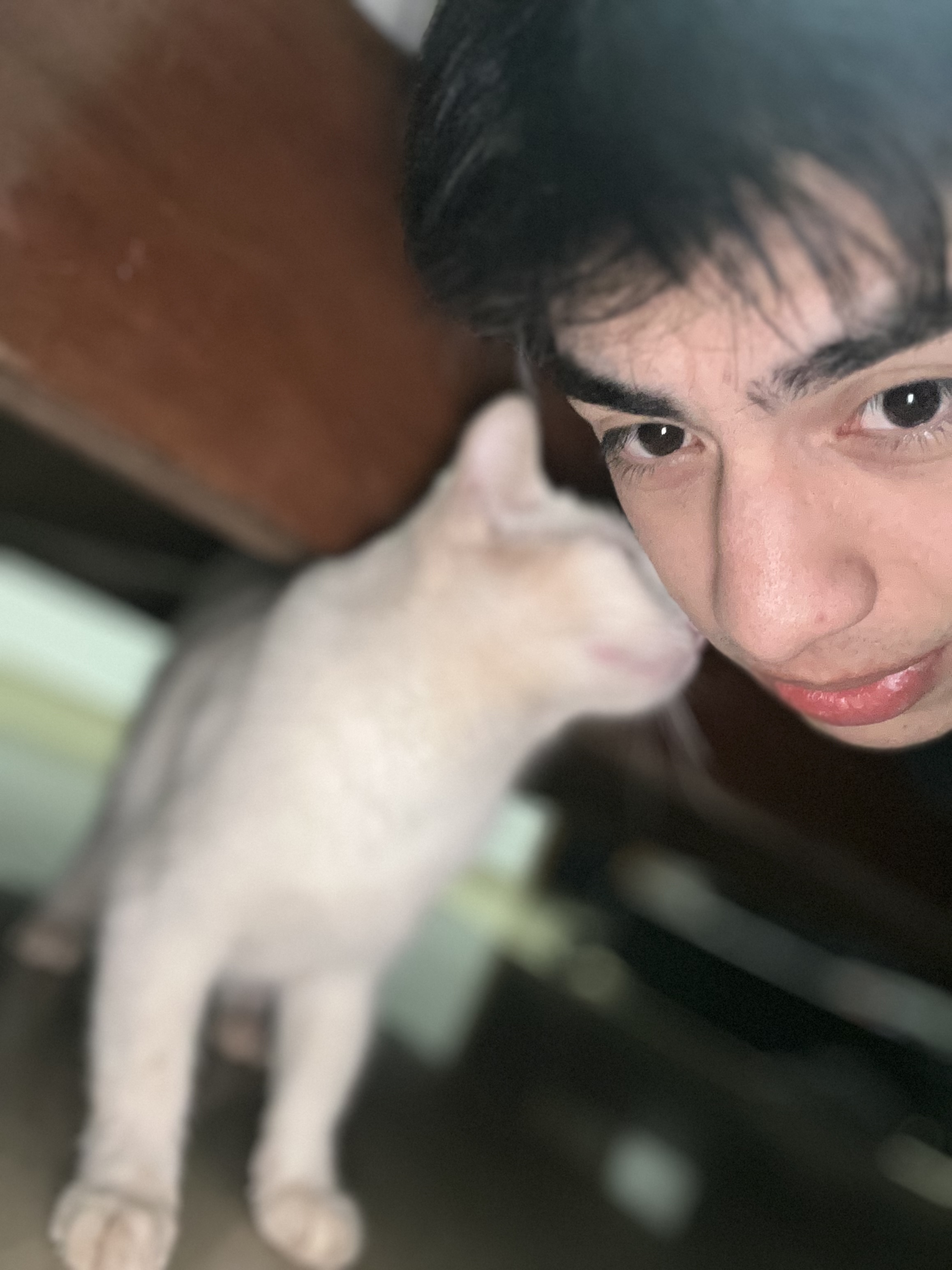 image-8