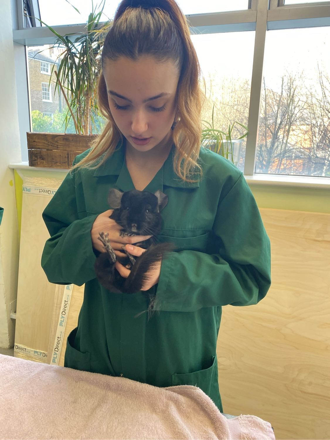 image-6