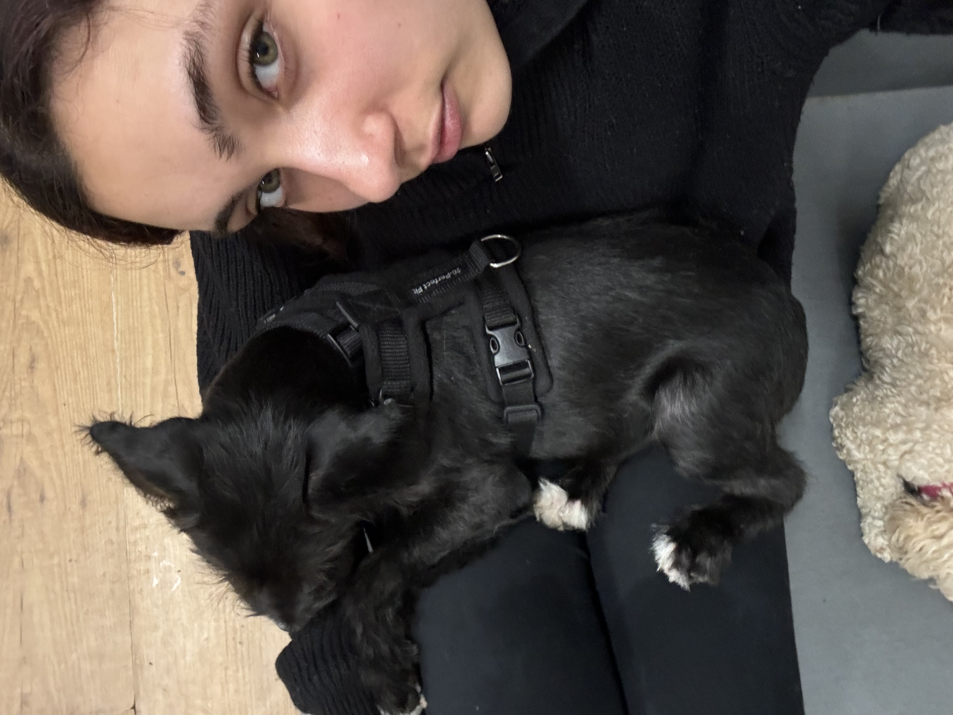 image-8