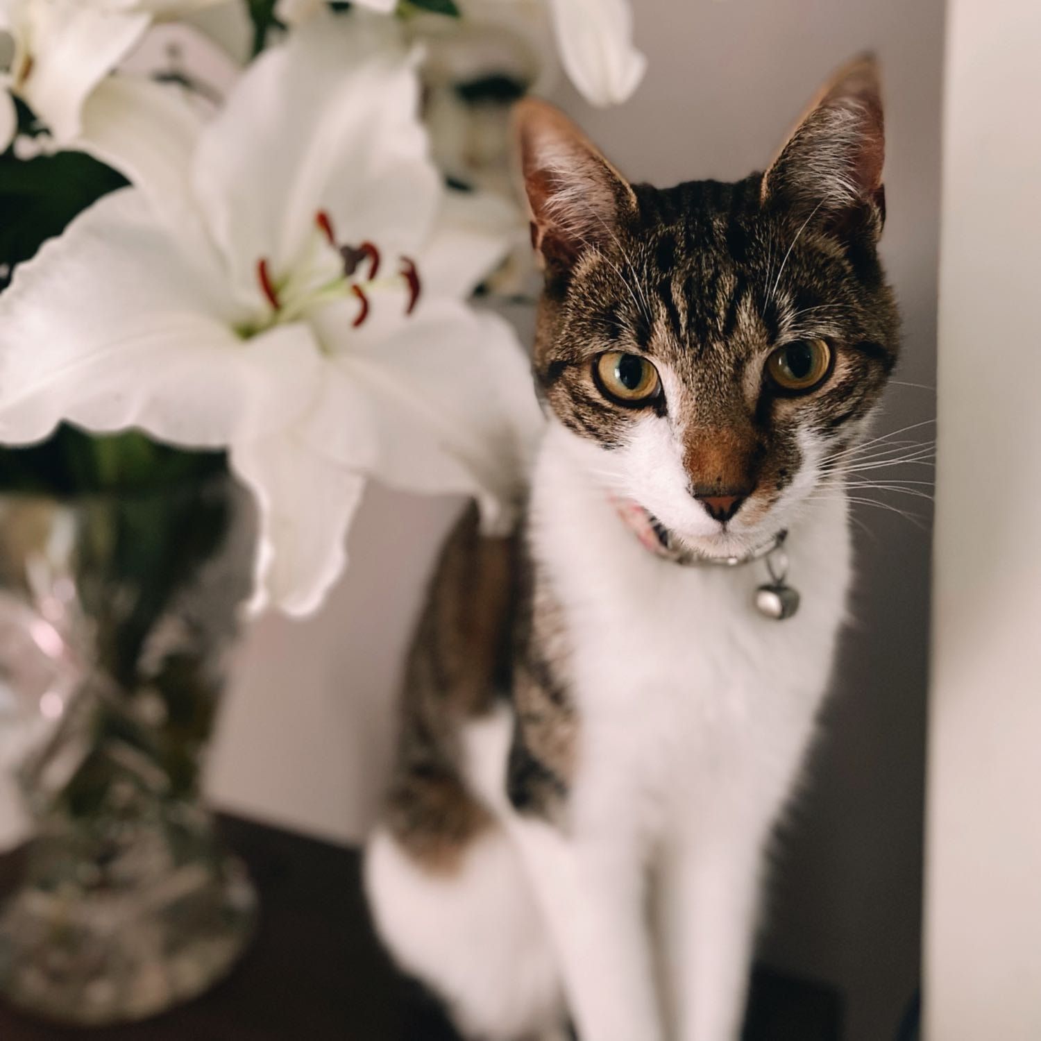 Winnie