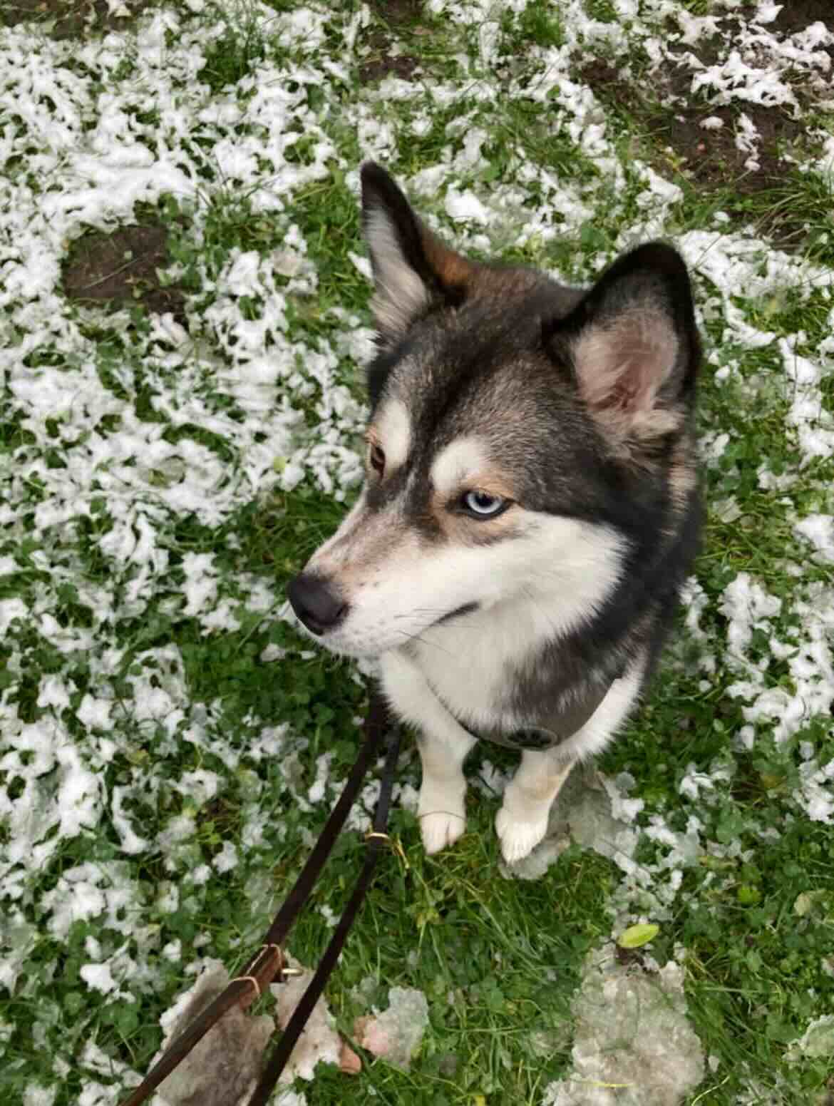 image-7