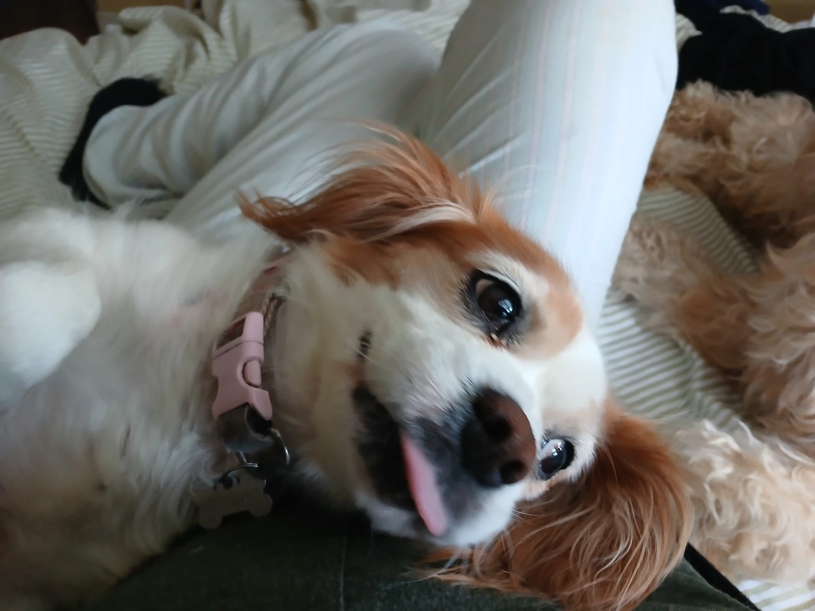 image-26