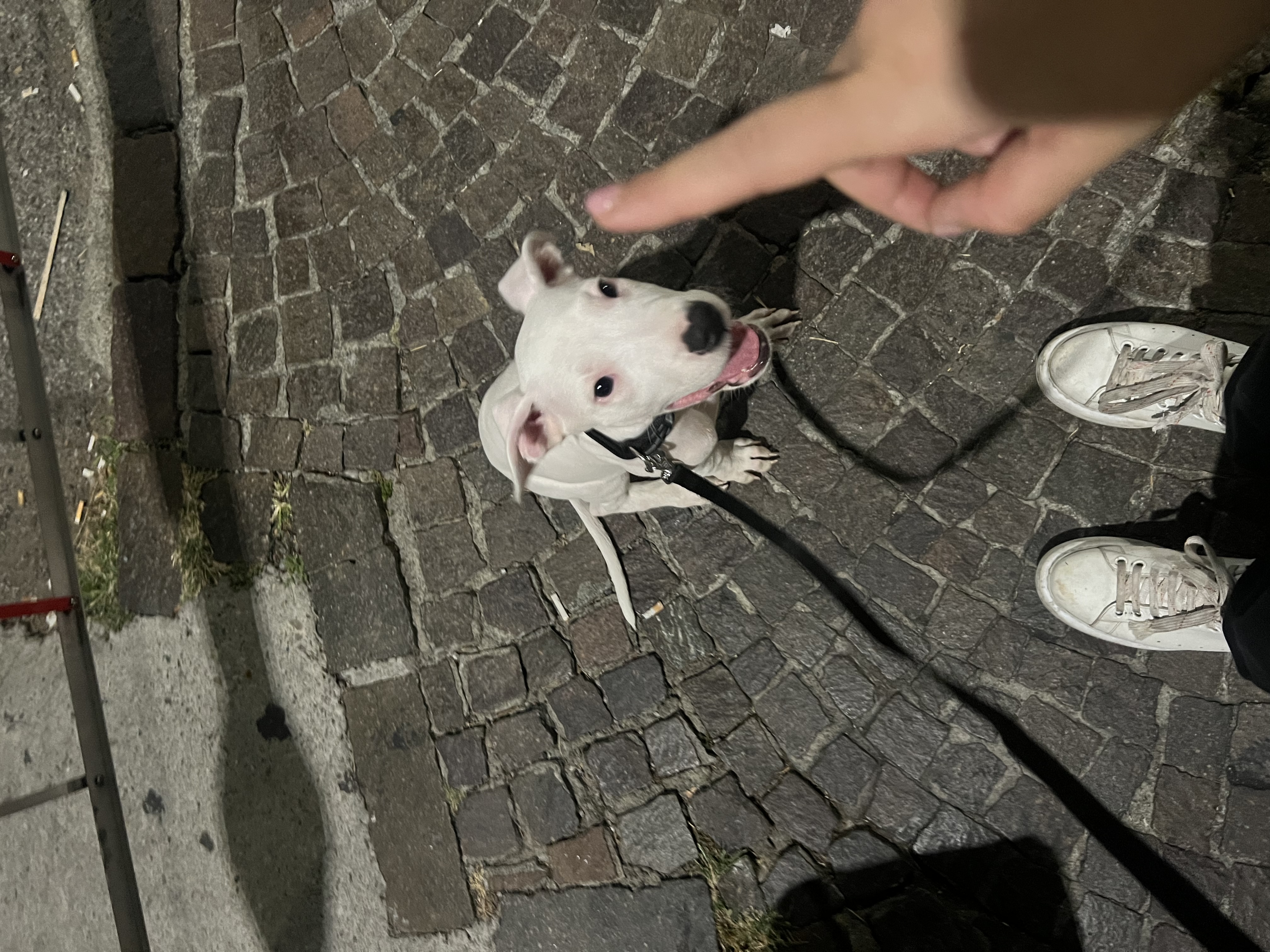 image-8