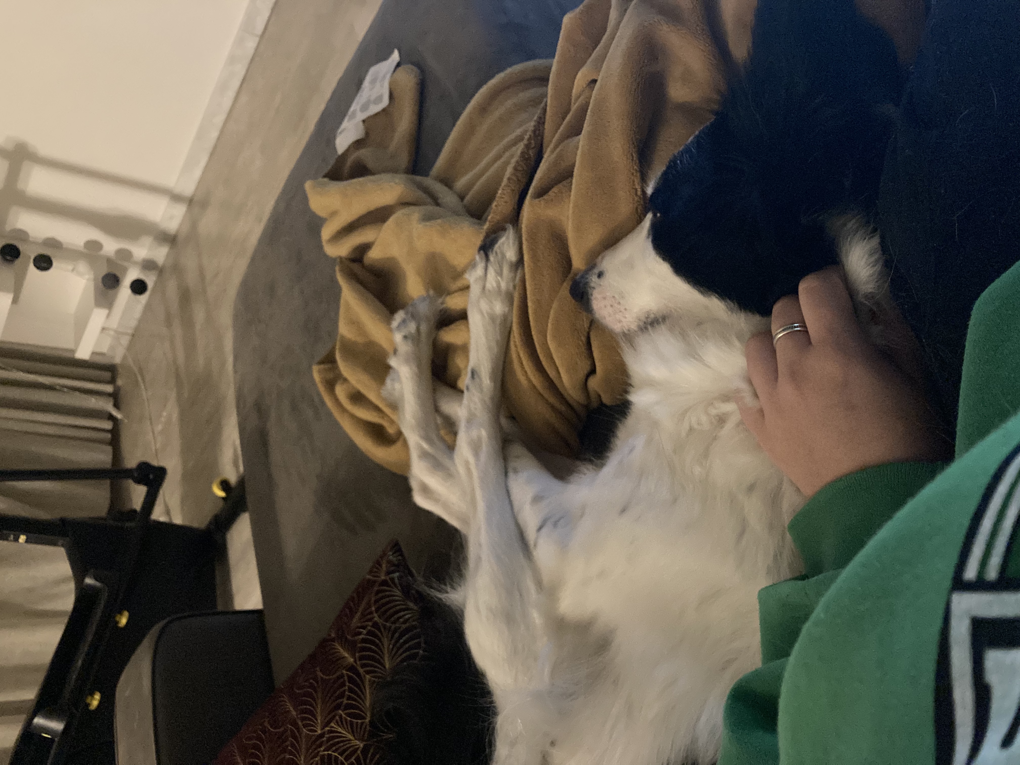 image-7