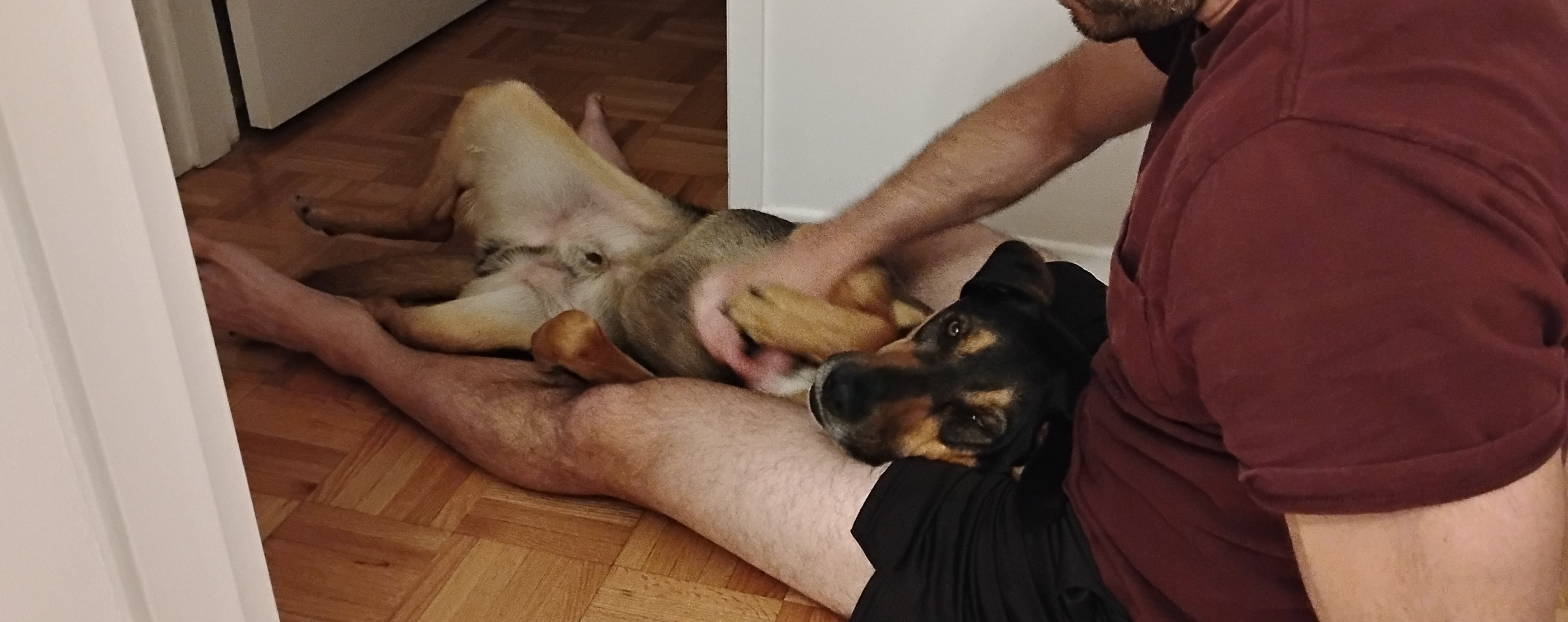 image-10