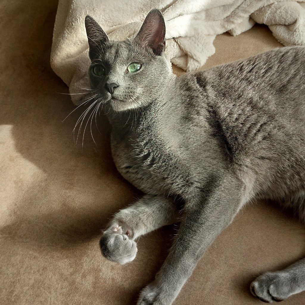 Miro