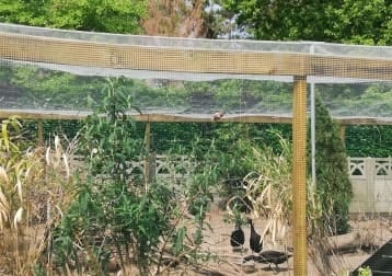 Kippen, Eenden & Kwartels