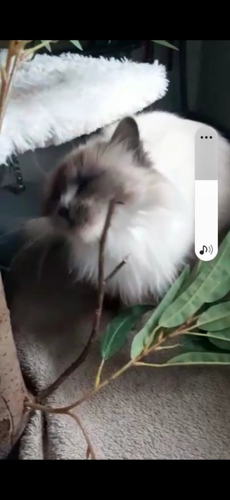 image-102