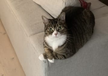 Jane