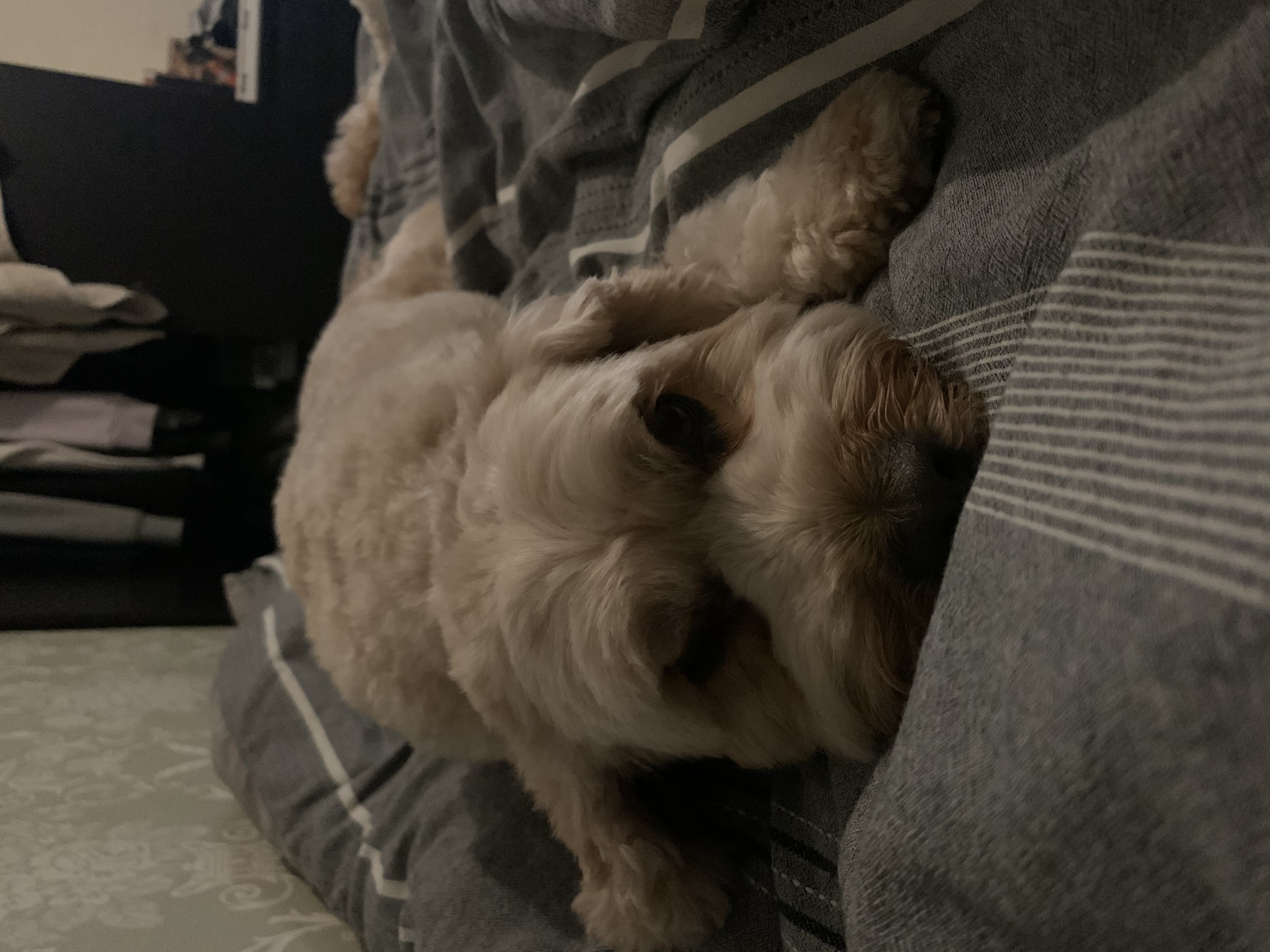 image-11