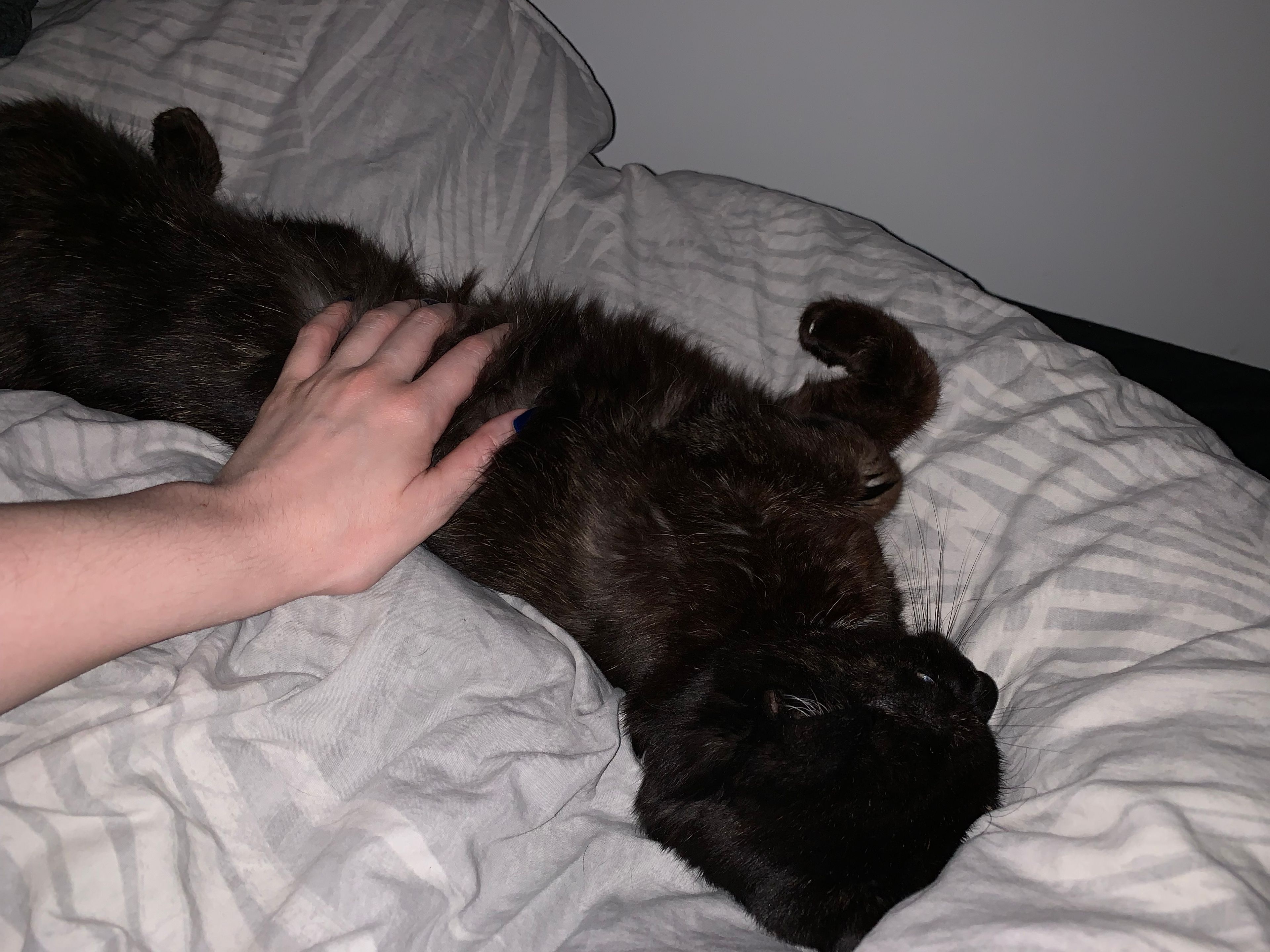 image-9