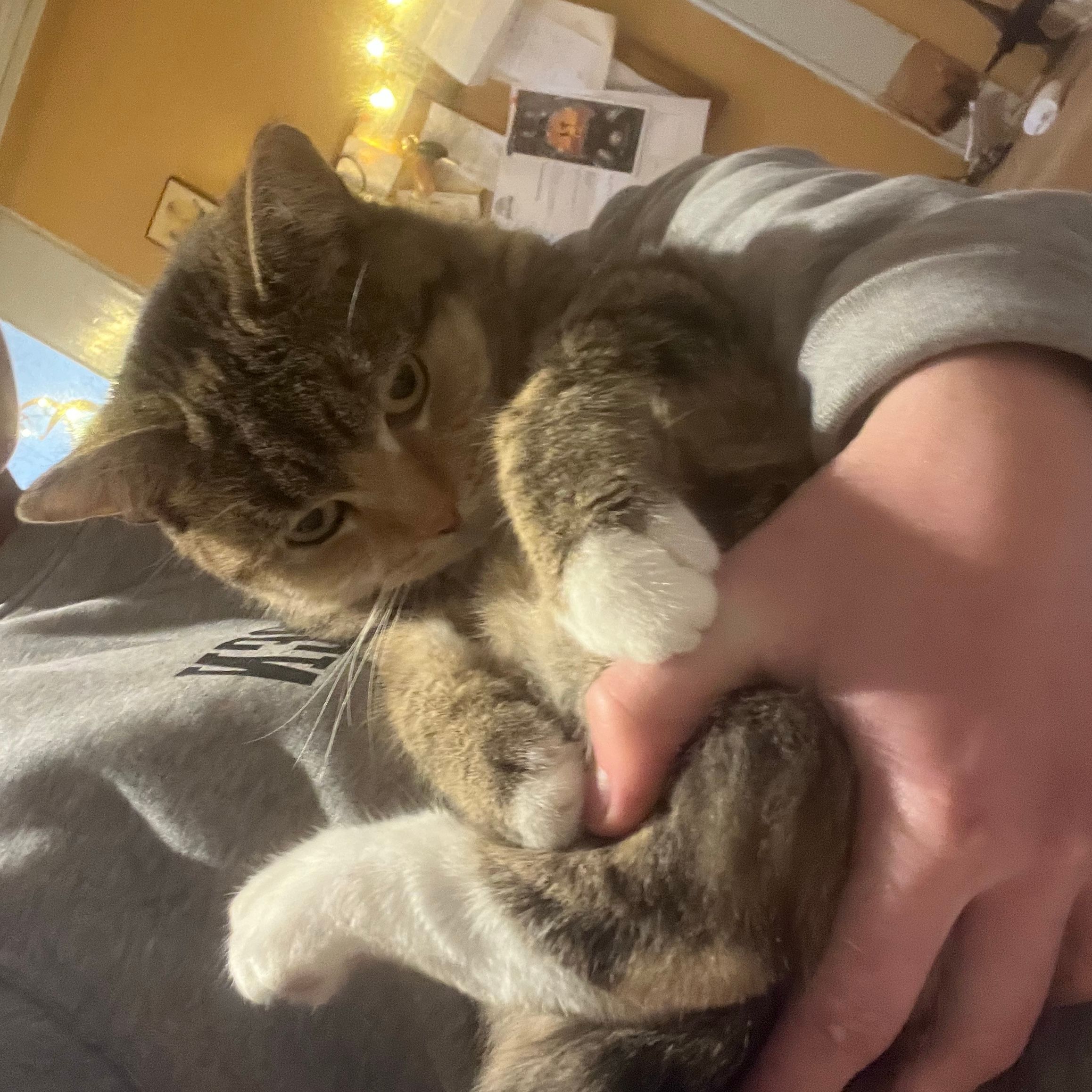 Molly