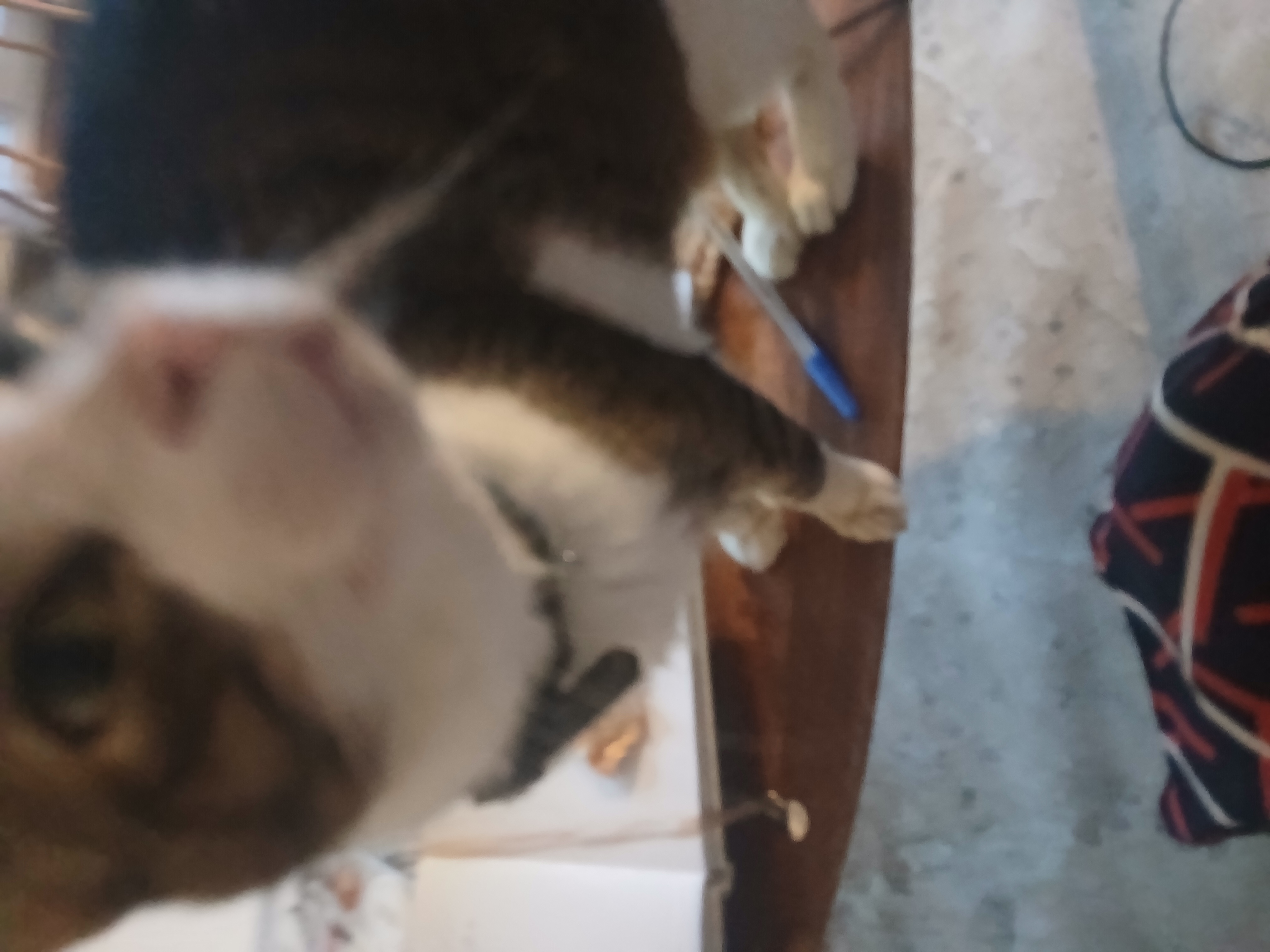 image-10