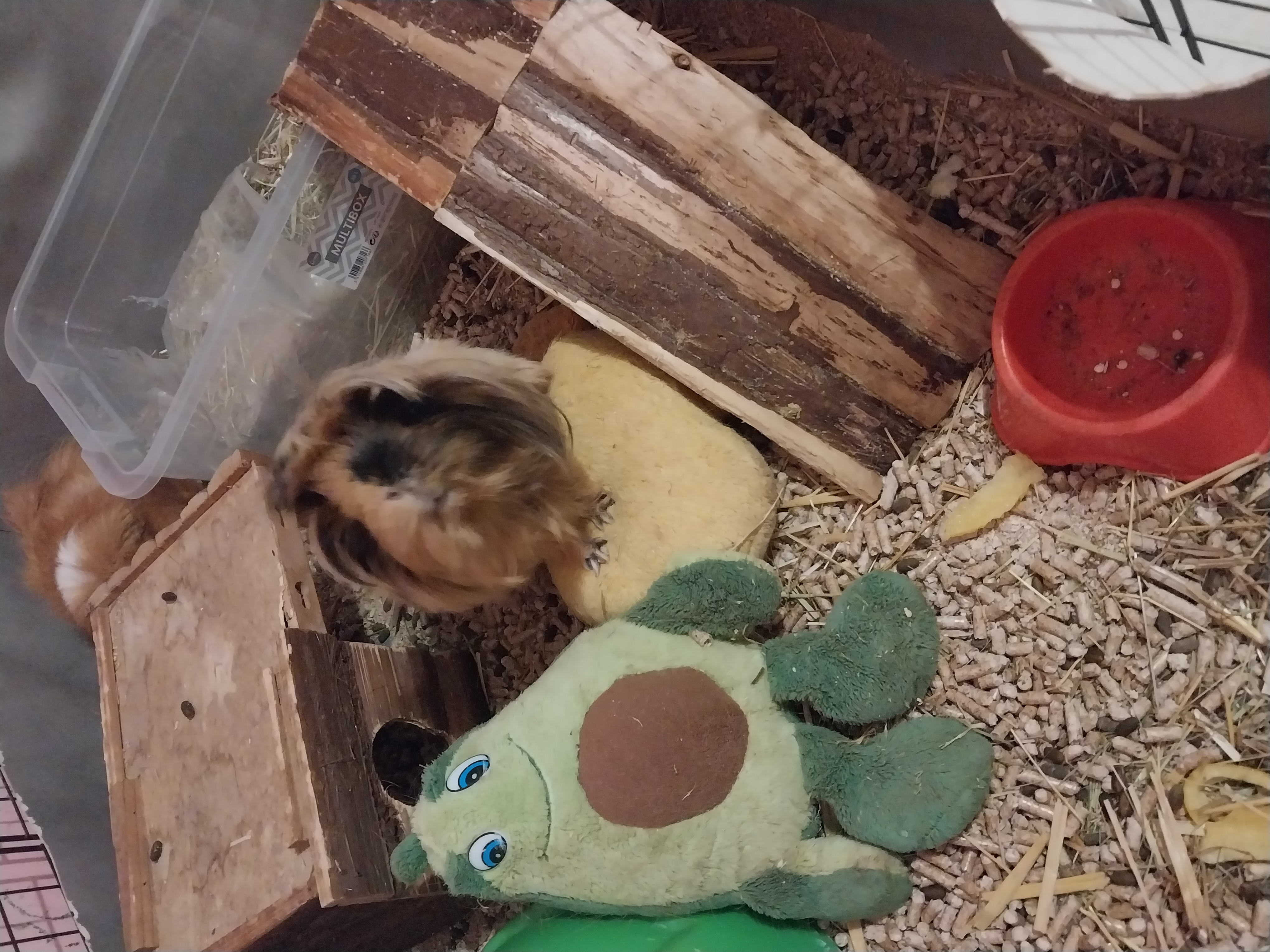 image-14